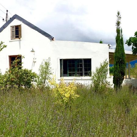 Designer Farm Cottage On Farm Франшхоек Екстериор снимка